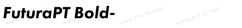 FuturaPT Bold字体转换